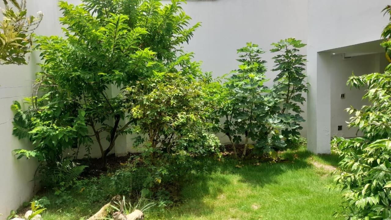 Casa De Praia Cabo Frio Ate 10 Hospedes エクステリア 写真